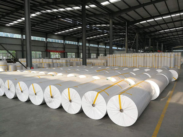 阳西狭缝式涤纶纺粘无纺布